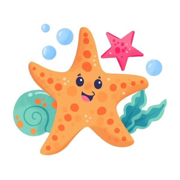 65 Funny Starfish Jokes Tell Us Jokes