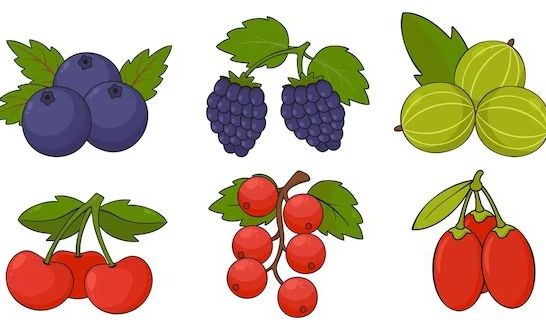73 Funny Berry Puns