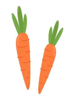 Funny Carrot Puns