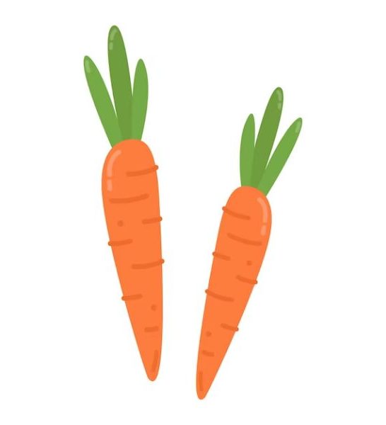53 Funny Carrot Puns