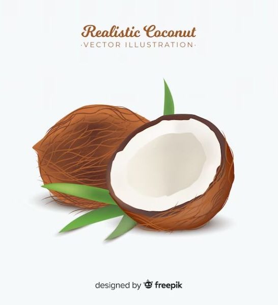 27 Funny Coconut Puns