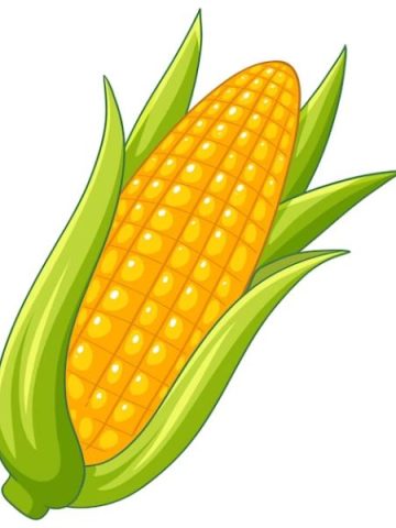 104 Funny Corn Puns