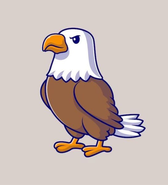 27 Funny Eagle Jokes