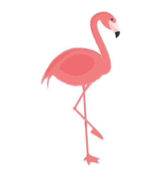 84 Funny Flamingo Jokes