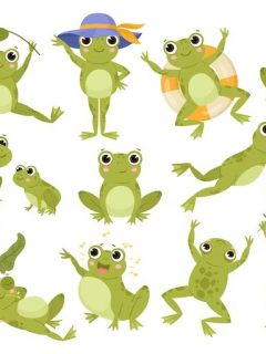 Funny Frog Puns