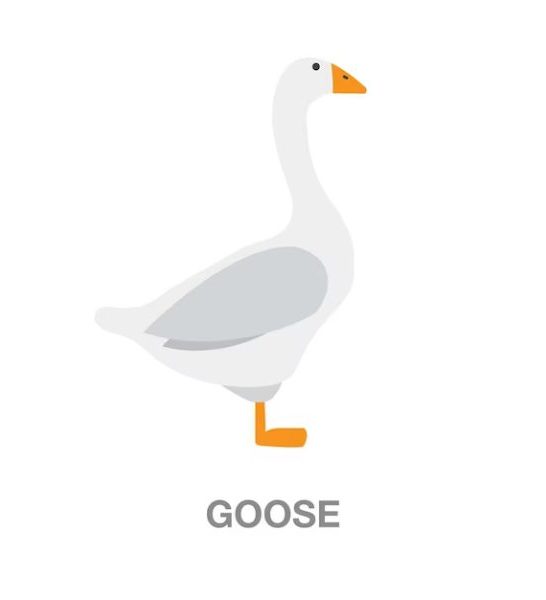 53 Funny Goose Puns
