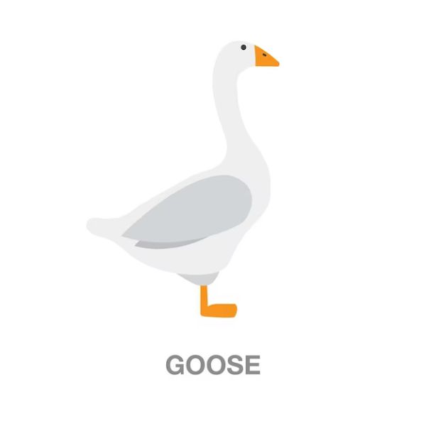 53 Funny Goose Puns - Tell Us Jokes