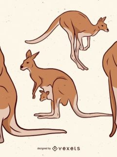Funny Kangaroo Jokes