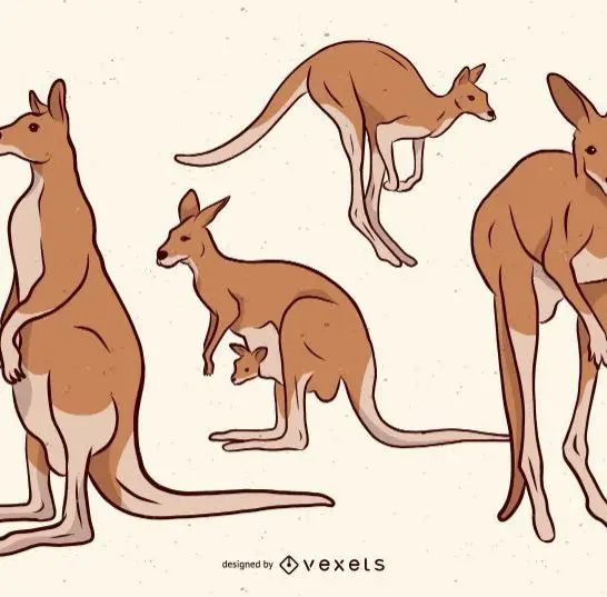 43 Funny Kangaroo Jokes