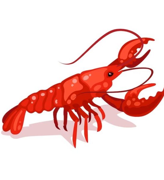 64 Funny Lobster Puns