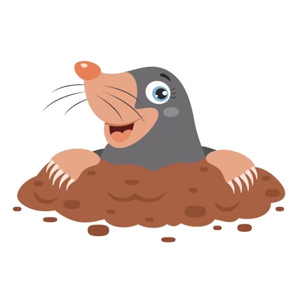 73 Funny Mole Puns - Tell Us Jokes