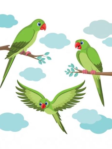 32 Funny Parrot Jokes