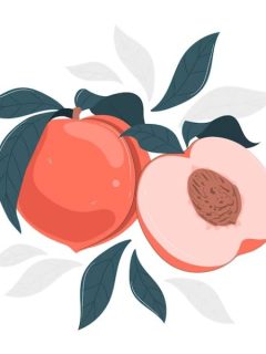 Funny Peach Puns