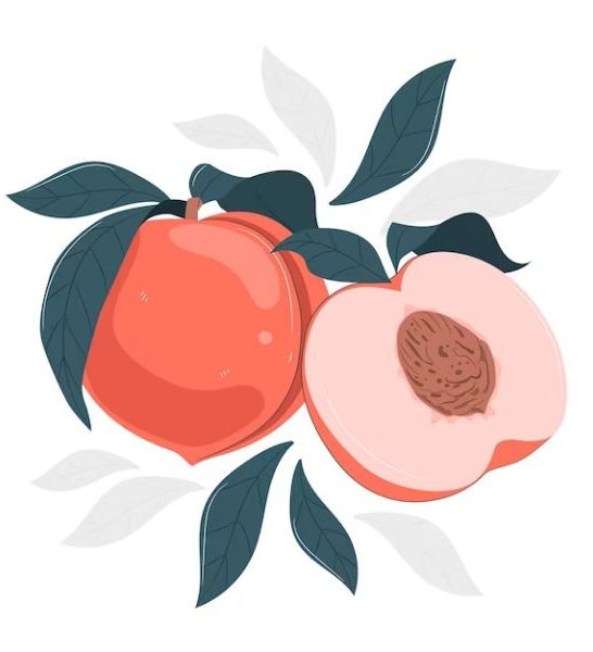 37 Funny Peach Puns