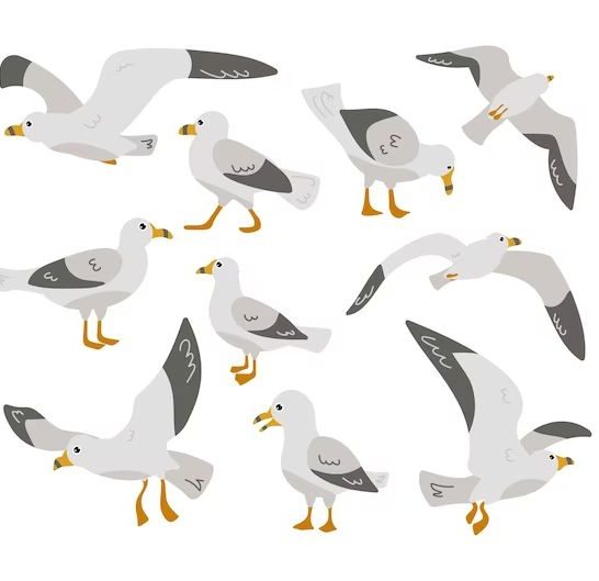 22 Funny Seagull Jokes