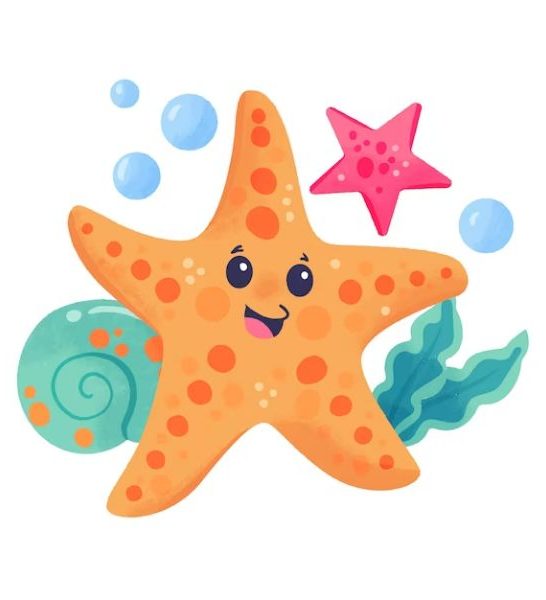 65 Funny Starfish Jokes
