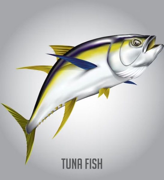 47 Funny Tuna Jokes