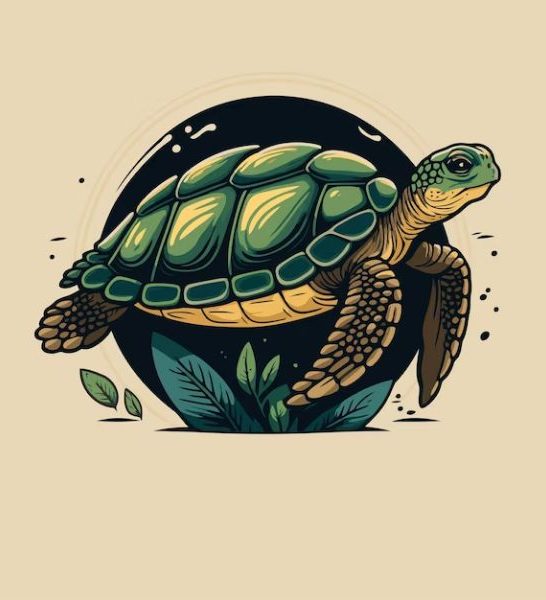 58 Funny Turtle Puns