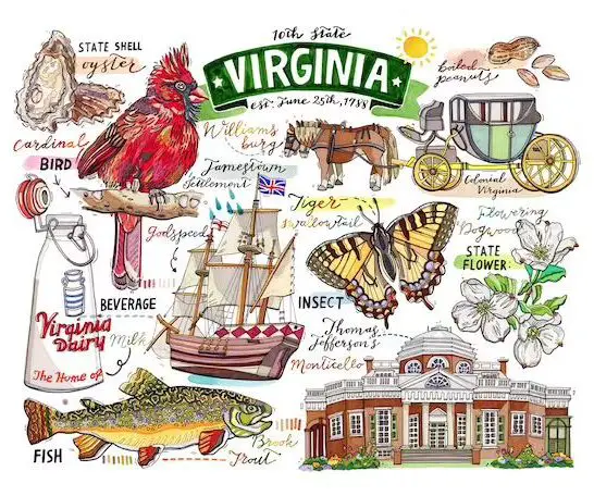 77 Hysterical Virginia Jokes