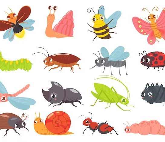 58 Jokes About Bugs