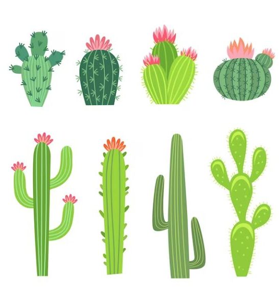 84 Jokes About Cactus