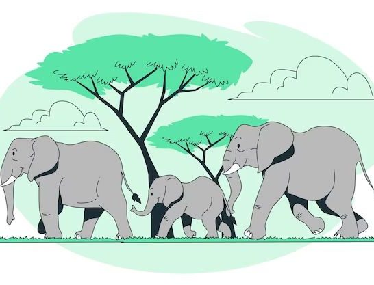 104 Jokes About Elephants