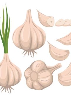 Jokes About Garlic