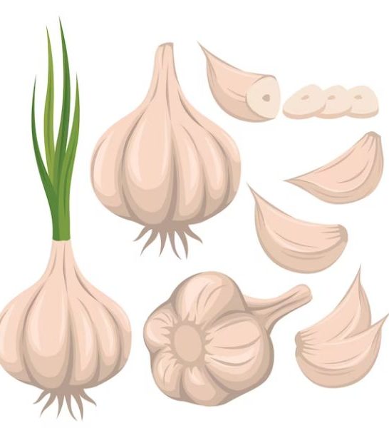 22 Jokes About Garlic