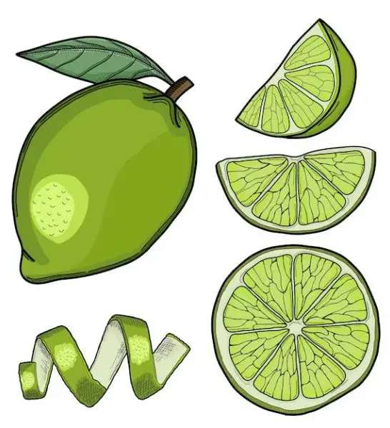 64 Jokes About Limes