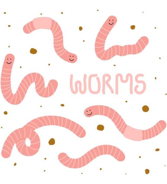 64 Jokes About Worms