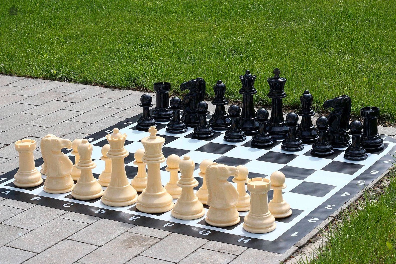 Giant Chess