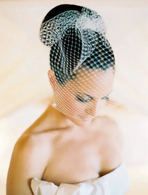 Birdcage Veils