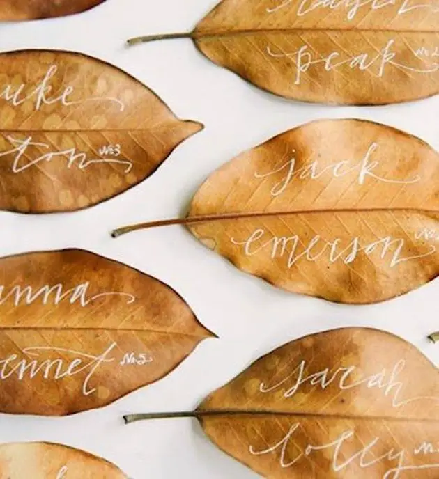 Crisp Calligraphy