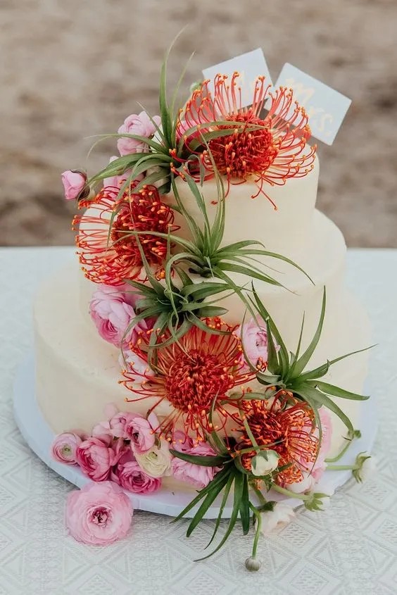 Pincushion Protea