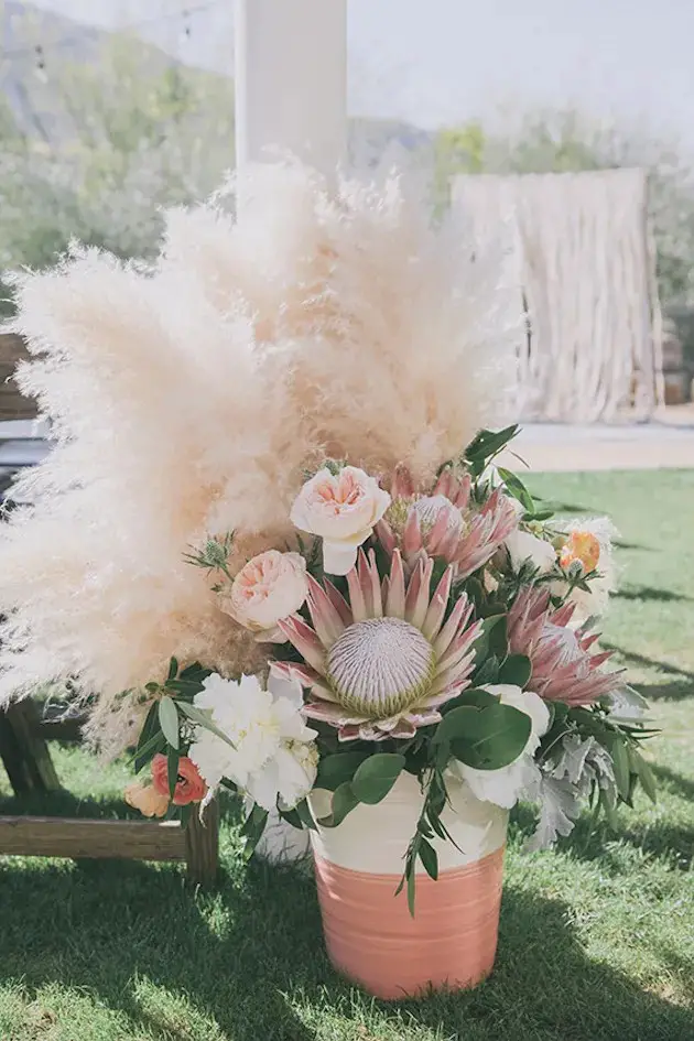 Pots of Protea