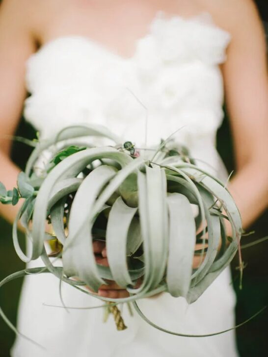 Trend Alert: 21 Air Plant Ideas For Your Wedding