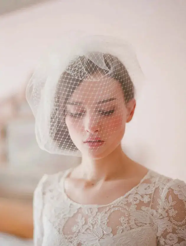 Birdcage Veils