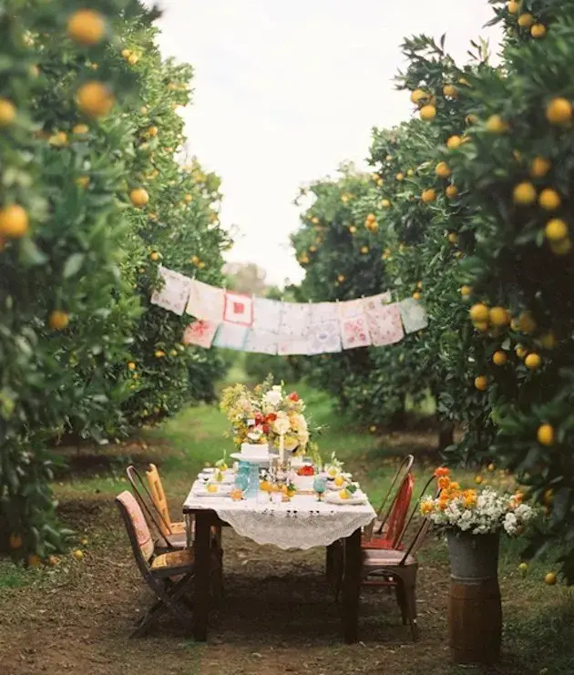 Under the Lemon Tree