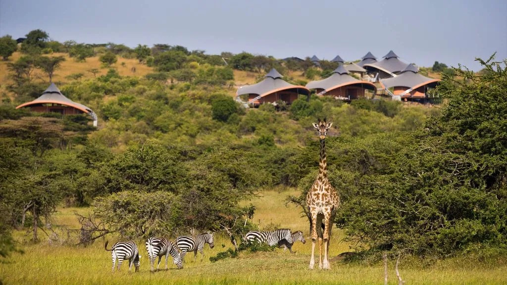 Tanzanian Serengeti