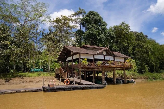 Special Mention For A Few Nights: Sukau Rainforest Lodge