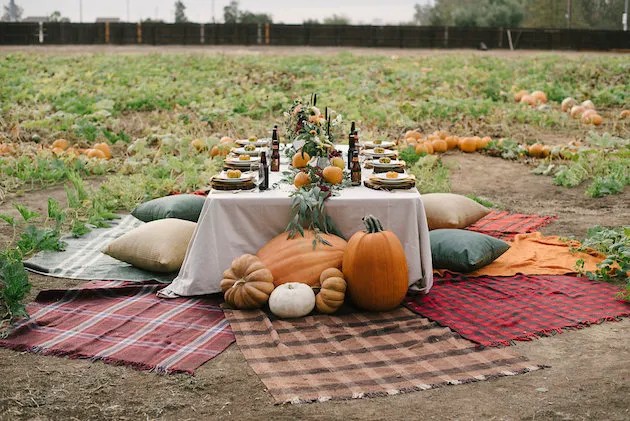 Pumpkin Patch Wedding Inspiration For Fall