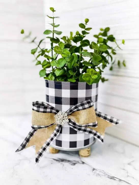 Easy Indoor Planter Ideas (Using Dollar Tree Vinyl)