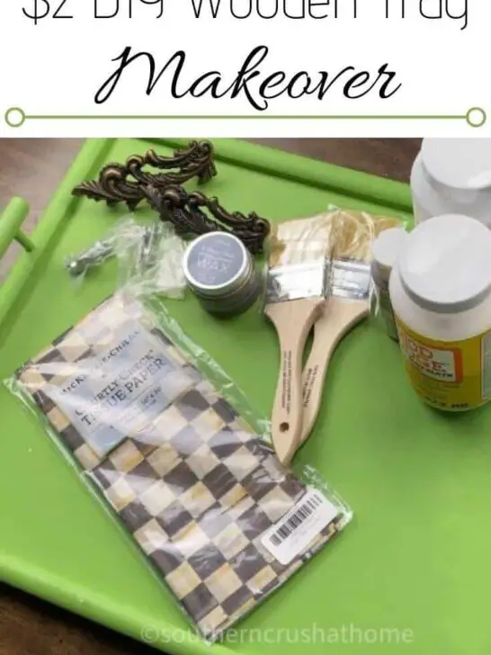 Gorgeous $2 Thrift Store Tray Makeover (Video Tutorial)